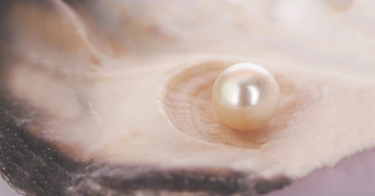 How Much are Pearls Worth? An In-Depth Answer - Laguna Pearl
